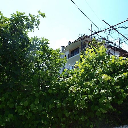 空中花园客房公寓 Áyios Dhimítrios 外观 照片