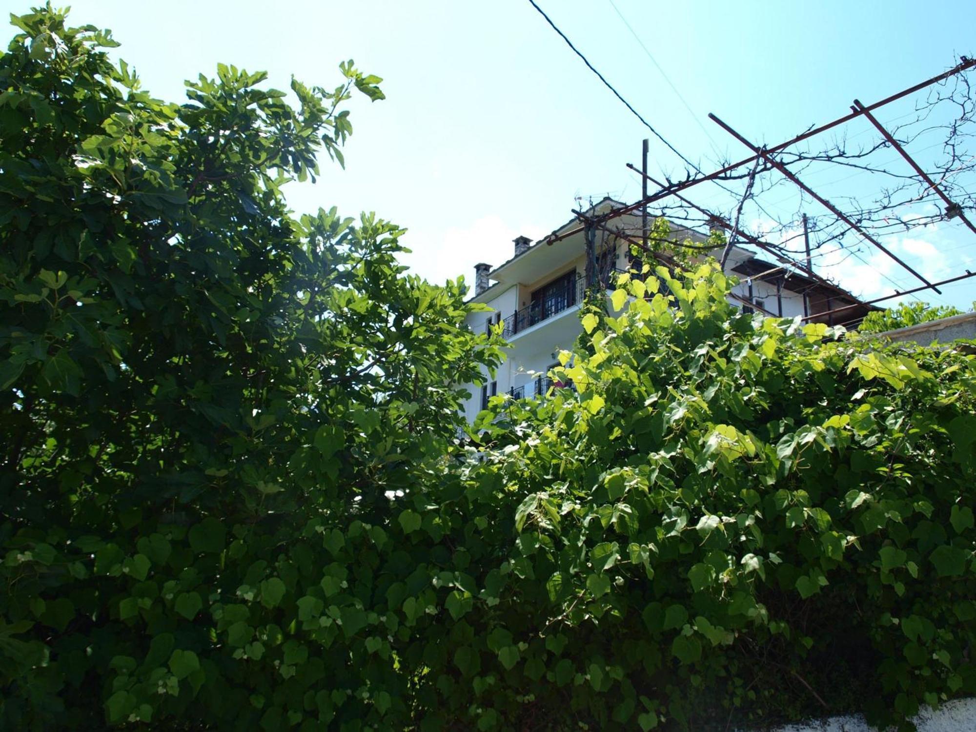 空中花园客房公寓 Áyios Dhimítrios 外观 照片